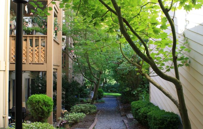 Willow Creek Apartments