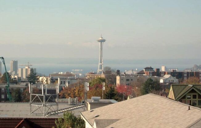 Studio, 1 bath, 460 sqft, $1,525, Unit 307