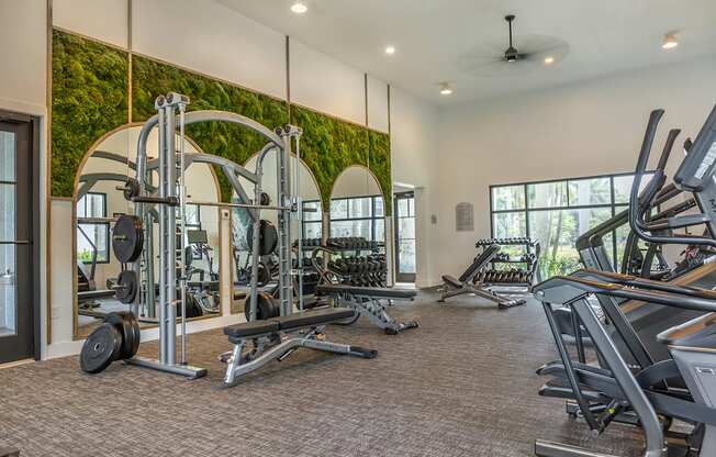 A gym with a green wall and a variety of equipment.