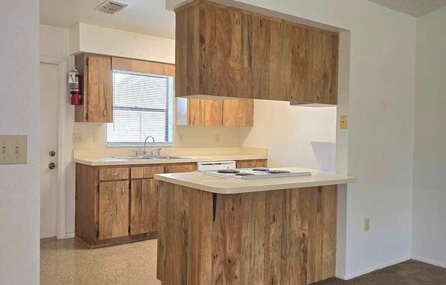 Jane Wood Rev Trust - Spoonbill