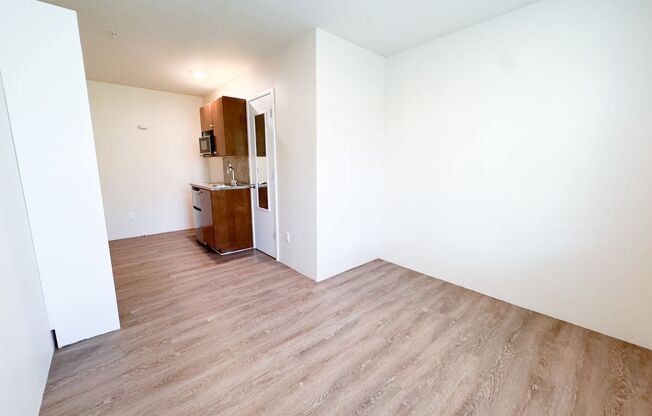 Studio, 1 bath, 154 sqft, $1,245, Unit 456