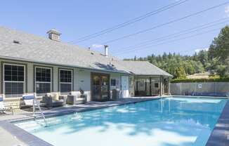 Swimming pool with forrest views - Springbrook Apartments