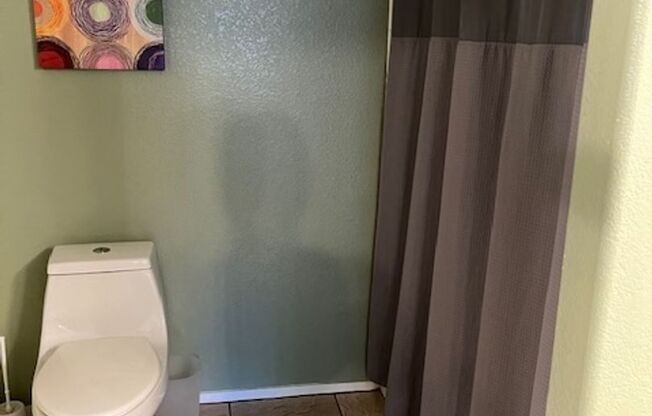 1 bed, 1 bath, $1,600