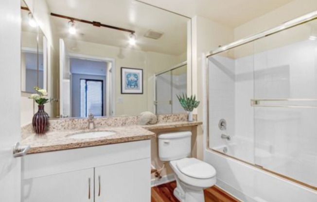 1 bed, 1 bath, 604 sqft, $2,900, Unit 215 P