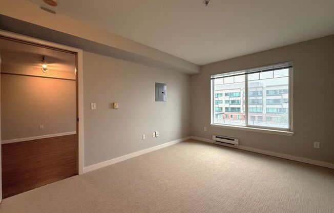 1 bed, 1 bath, 675 sqft, $1,550, Unit 504