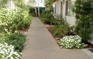 1 bed, 1 bath, 935 sqft, $2,950, Unit 66