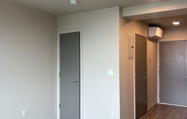 Studio, 1 bath, 318 sqft, $1,495, Unit 703