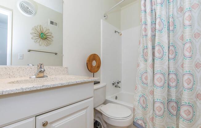 a shower that has a sink and a mirror