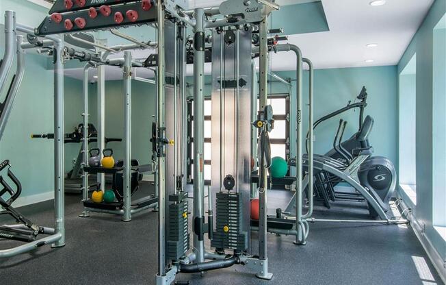 Fitness center with lifting equipment