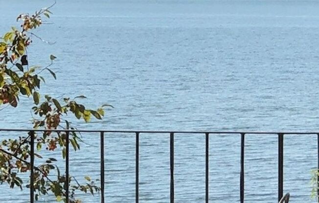 Lakeside