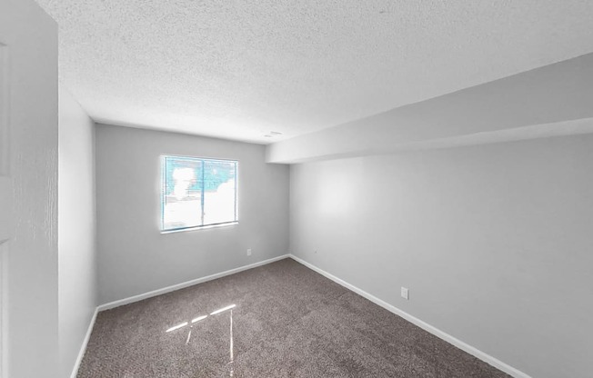 an empty room with carpet and a window