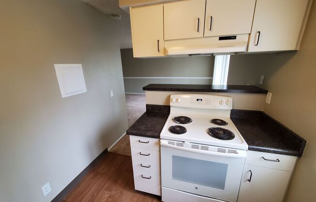 Studio, 1 bath, 408 sqft, $1,850, Unit 143