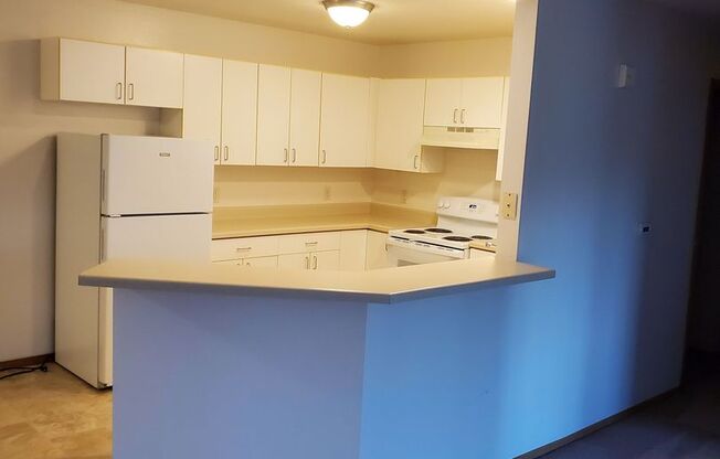 2 beds, 1 bath, 1,010 sqft, $1,269, Unit PL   4103