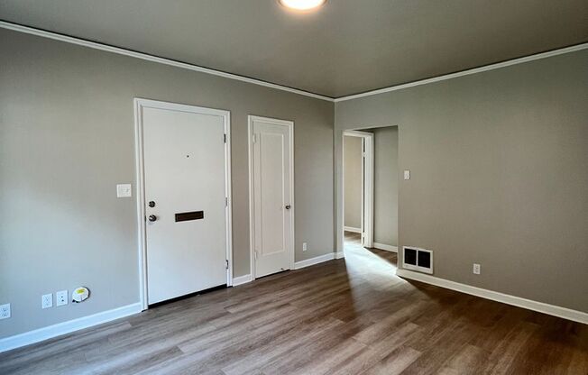 6411 Albina by Star Metro