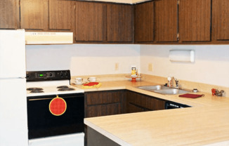 apartment kitchen cabinets
