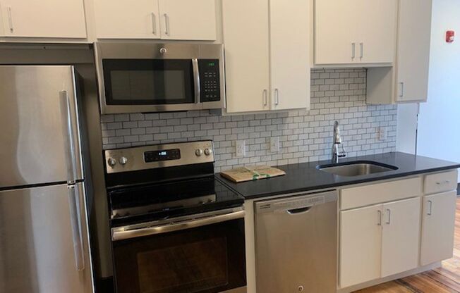 1 bed, 1 bath, 528 sqft, $1,025, Unit Room 202