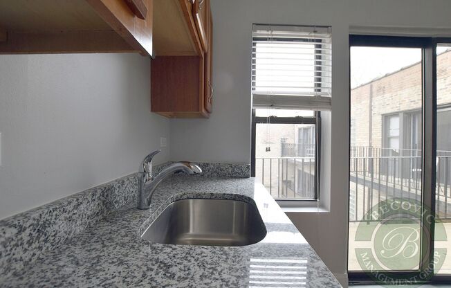 Studio, 1 bath, 305 sqft, $1,550, Unit 317