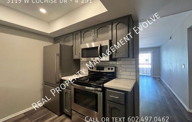 3119 W COCHISE Drive