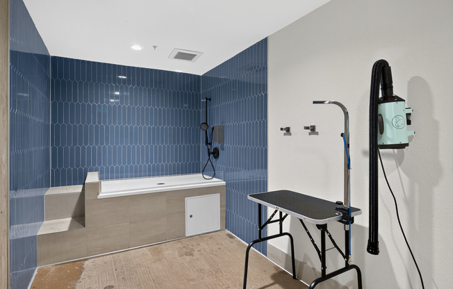 Pet Grooming Station