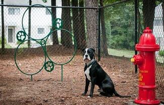 Dog park at Emory Woods Apartments, Durham, NC.