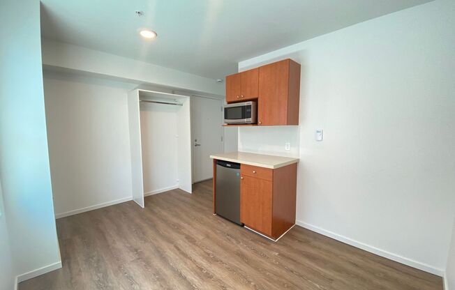 Studio, 1 bath, 175 sqft, $1,195, Unit 4413