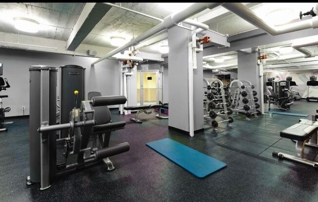 Studio, 1 bath, $3,225, Unit 205