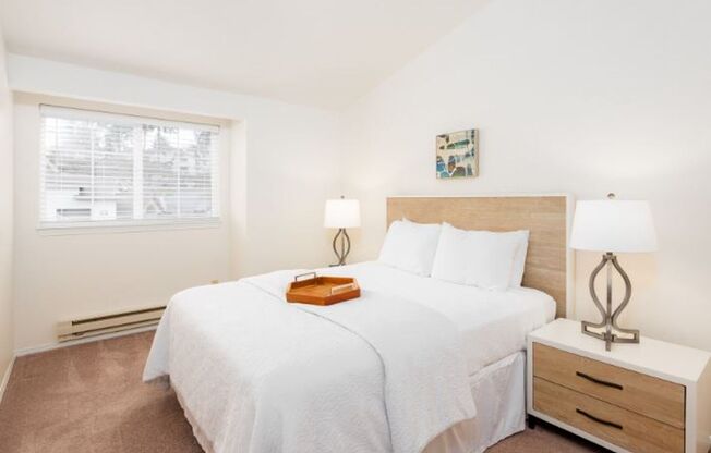 1 bed, 1 bath, 800 sqft, $1,645, Unit 1013