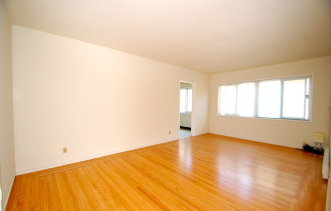 1 bed, 1 bath, 570 sqft, $2,295, Unit 203