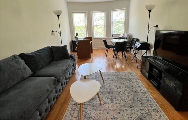Lovely Renovated 1 BR In North Center
