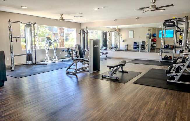 A spacious gym with a variety of equipment including a squat rack, a bench, and a weight machine.