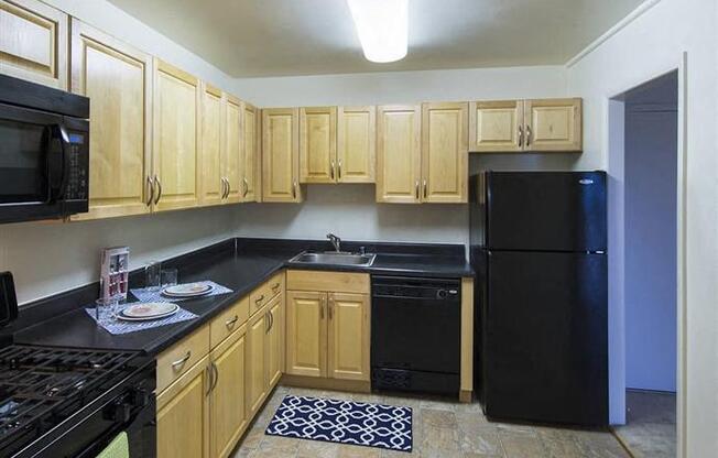 GOLD all-black appliances in an open kitchen space at Trillium Apartments, Virginia, 22031