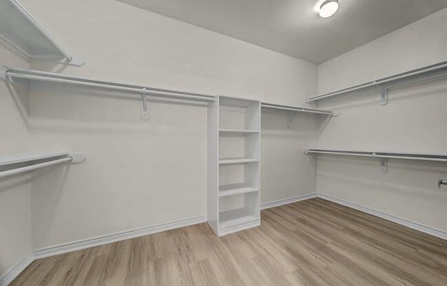 Walk-in Closet with Shelving