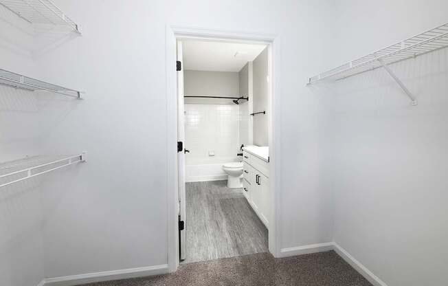 Large walk-in closets with shelving