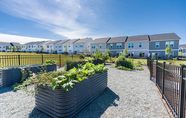 The community garden features raised planting beds and dedicated growing spaces, providing residents with opportunities to garden, cultivate fresh produce, and connect with neighbors outdoors.