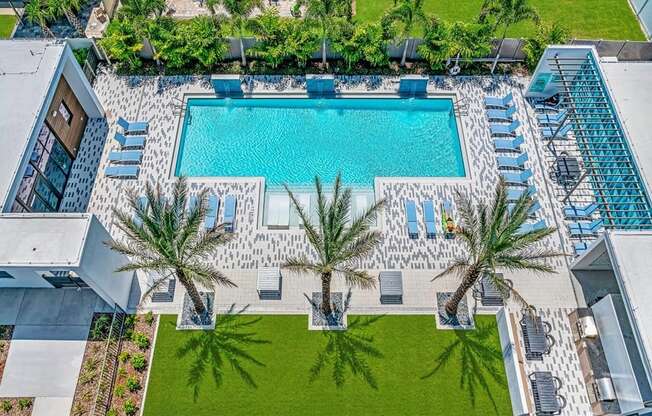 A swimming pool surrounded by palm trees and lounge chairs.