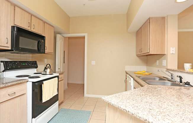 Granite Counter Tops at Ashley House, Katy, 77450