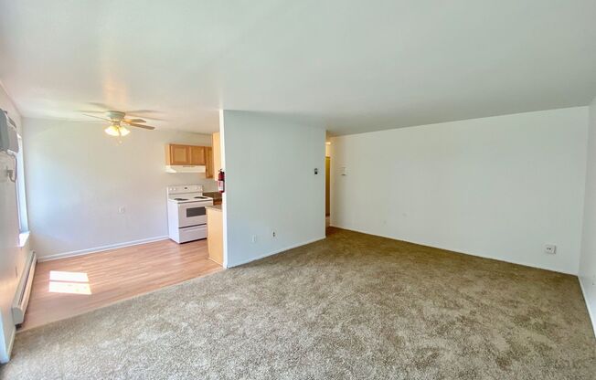 1 bed, 1 bath, 800 sqft, $1,145, Unit 36