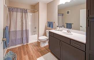 a bathroom with a sink toilet and a shower