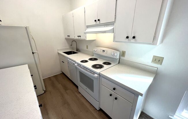 1 bed, 1 bath, 675 sqft, $1,985, Unit 305