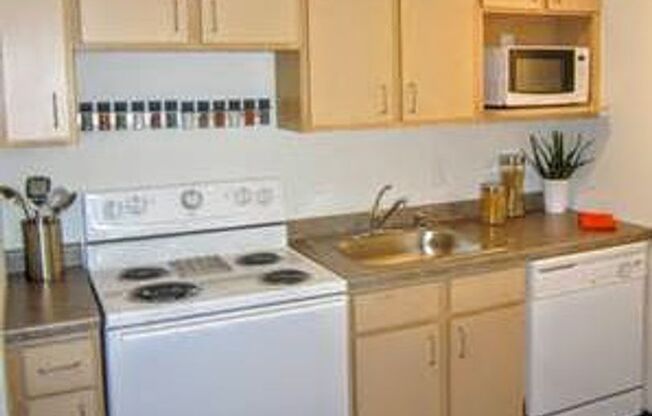 1 bed, 1 bath, 790 sqft, $1,100, Unit 1216-507B