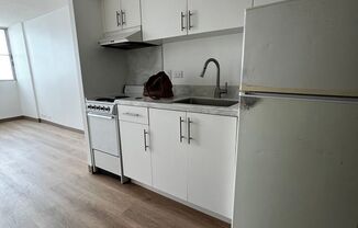 Studio, 1 bath, 378 sqft, $1,250, Unit 907