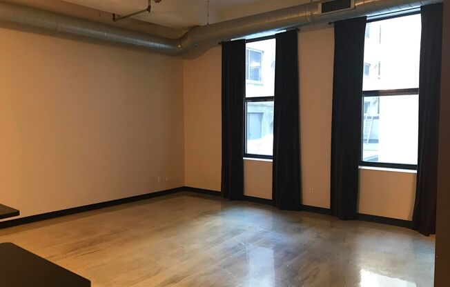 Spectacular Spacious Studio Condo in Downtown St. Paul.