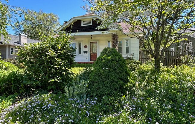 North AVL - Picture Perfect Cottage Awaits You!