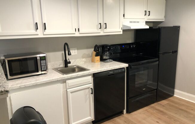 1 bed, 1 bath, $1,100