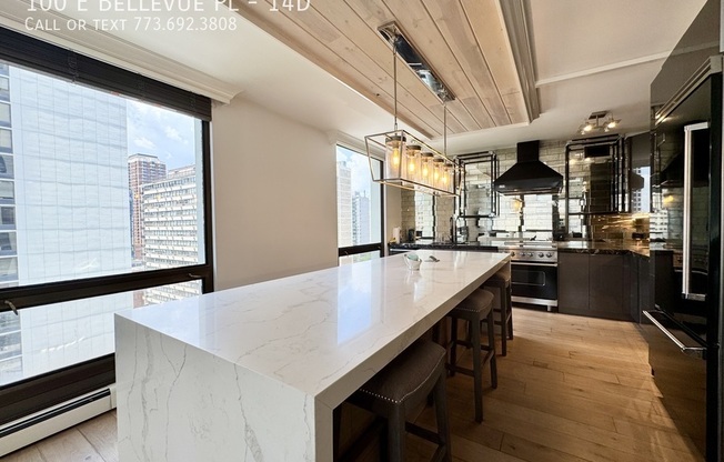 100 E Bellevue Pl, Chicago IL 12F