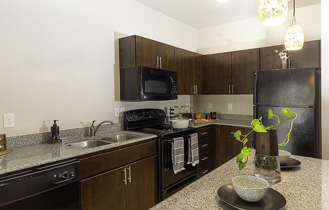 kitchen with dark cupboards from The Lotus Apartments in Downtown Salt Lake City, Utah