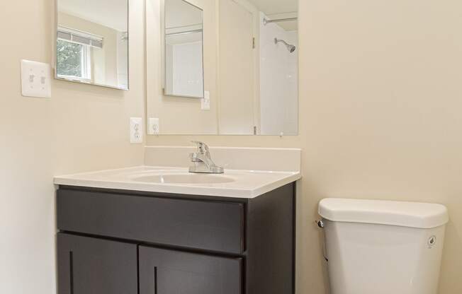 a bathroom with a toilet and a sink and a mirror