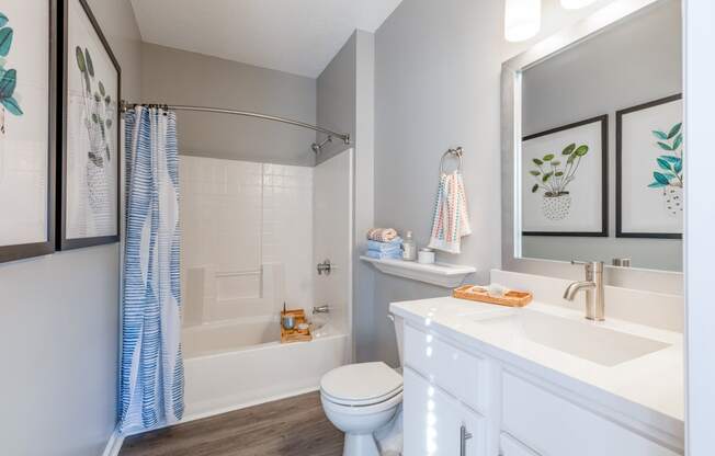 Summermill at Falls River Apartments bathroom with white cabinets and showertub