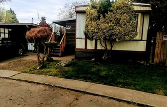 Newly remodeled  mobile home in 55 and over park