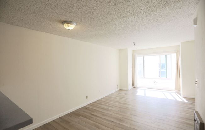 Studio, 1 bath, $1,695